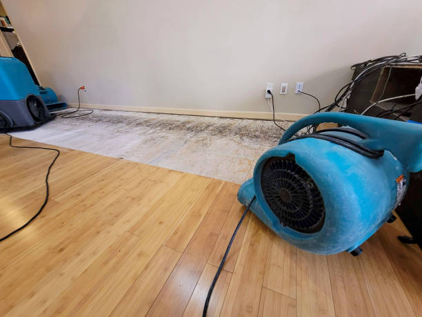 Professional Water Damage Repair technician working in Embarrass, MN